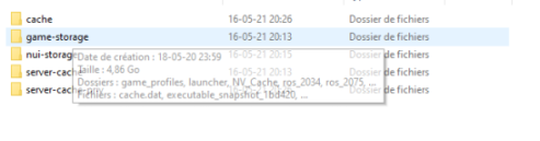 Game Storage Exception